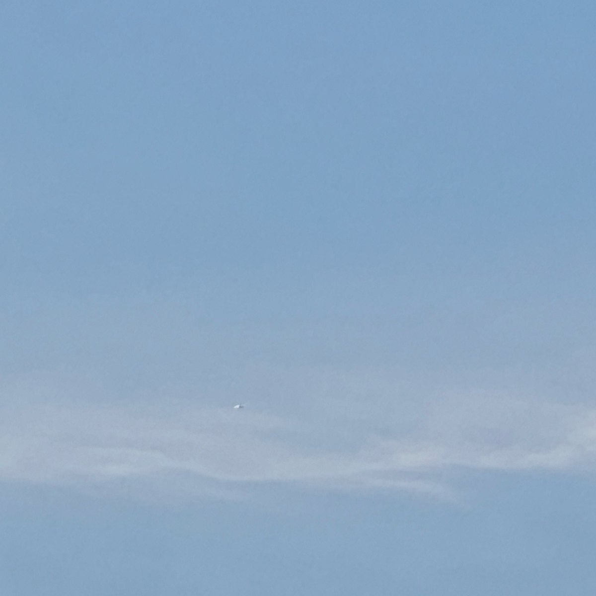 옥순