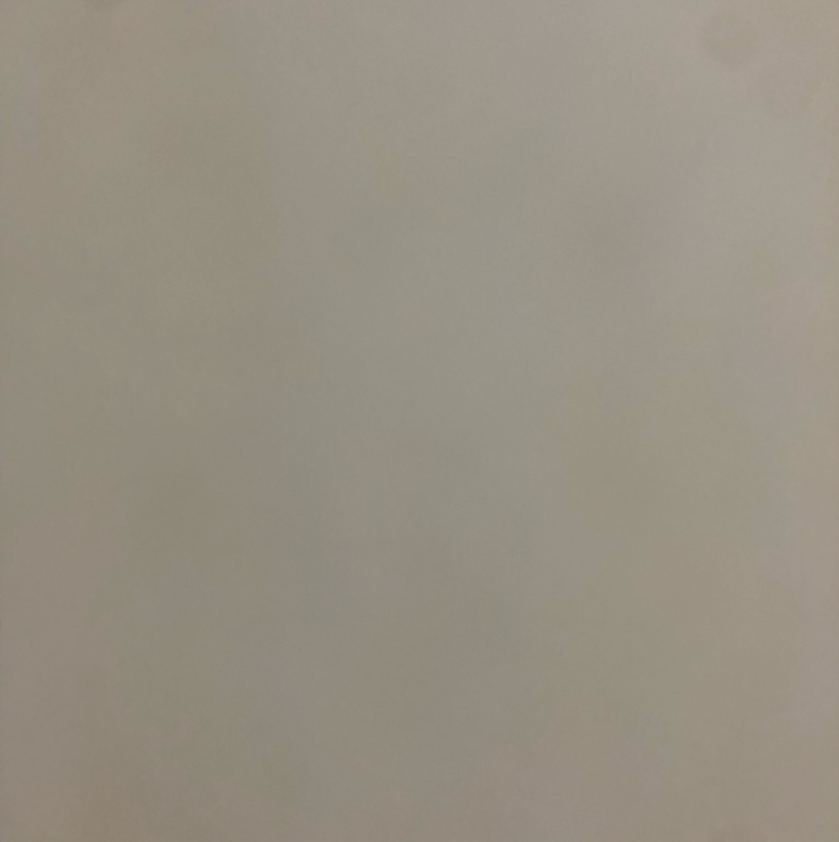 宸