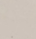 화산 광견