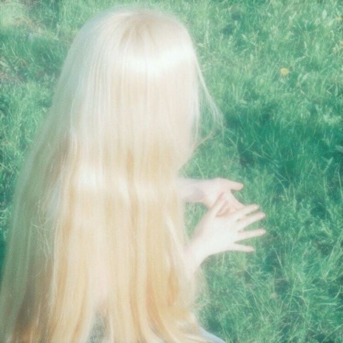 린다 노르드하벤
