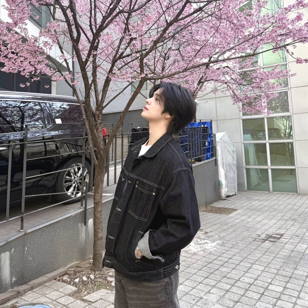 박세림