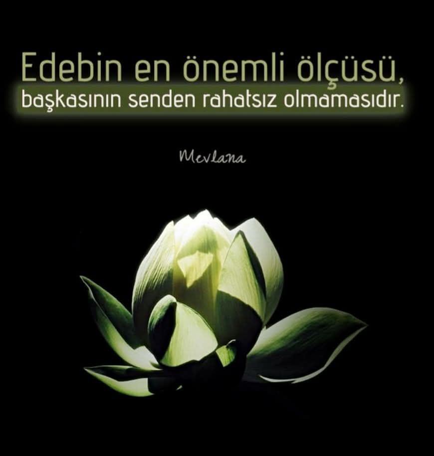 Sultan Sungur