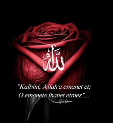Elif Sultan