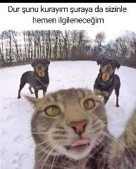 Bugra Adem Bitigen