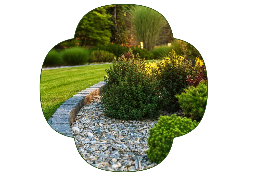 photo d'un jardin