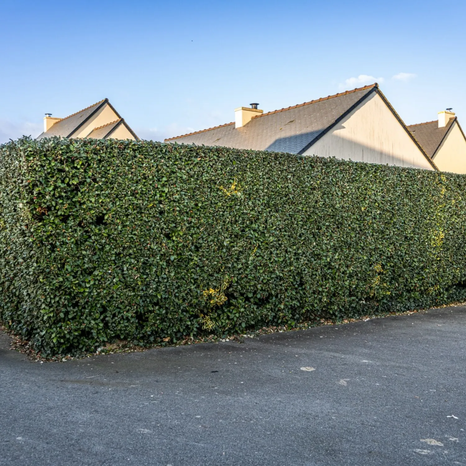 Entretien espaces verts