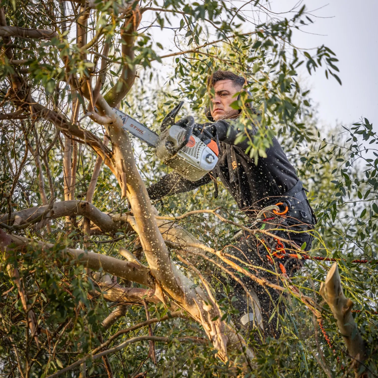 Entretien espaces verts