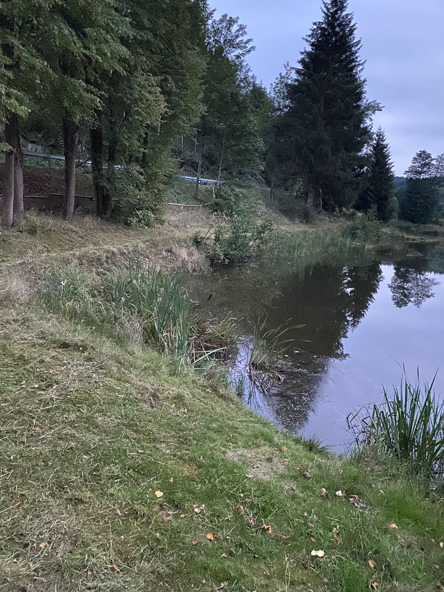 Bärenweiher – weiteres Bild