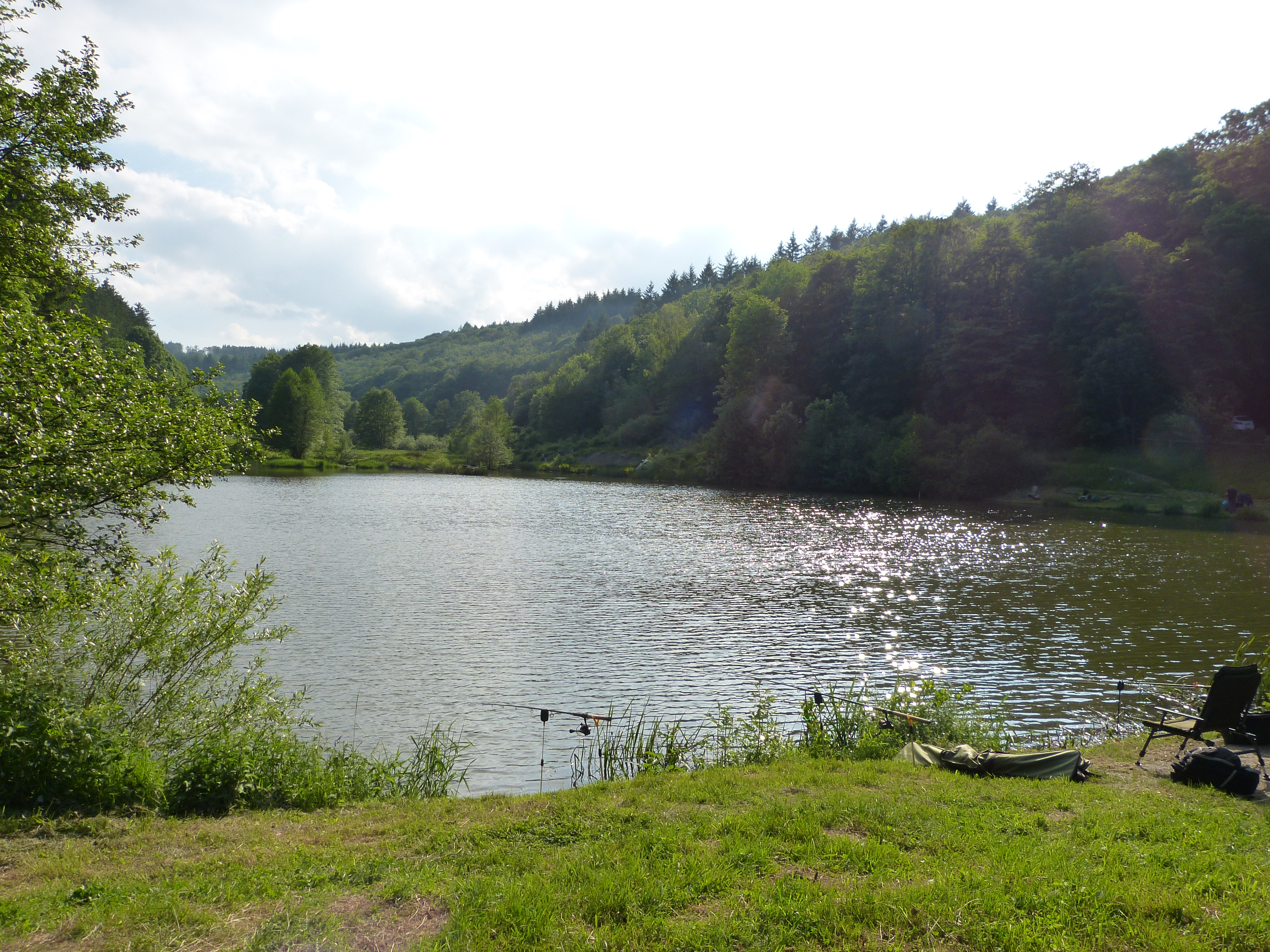 Fichtenweiher – Gewässer des ASV Reifenberg