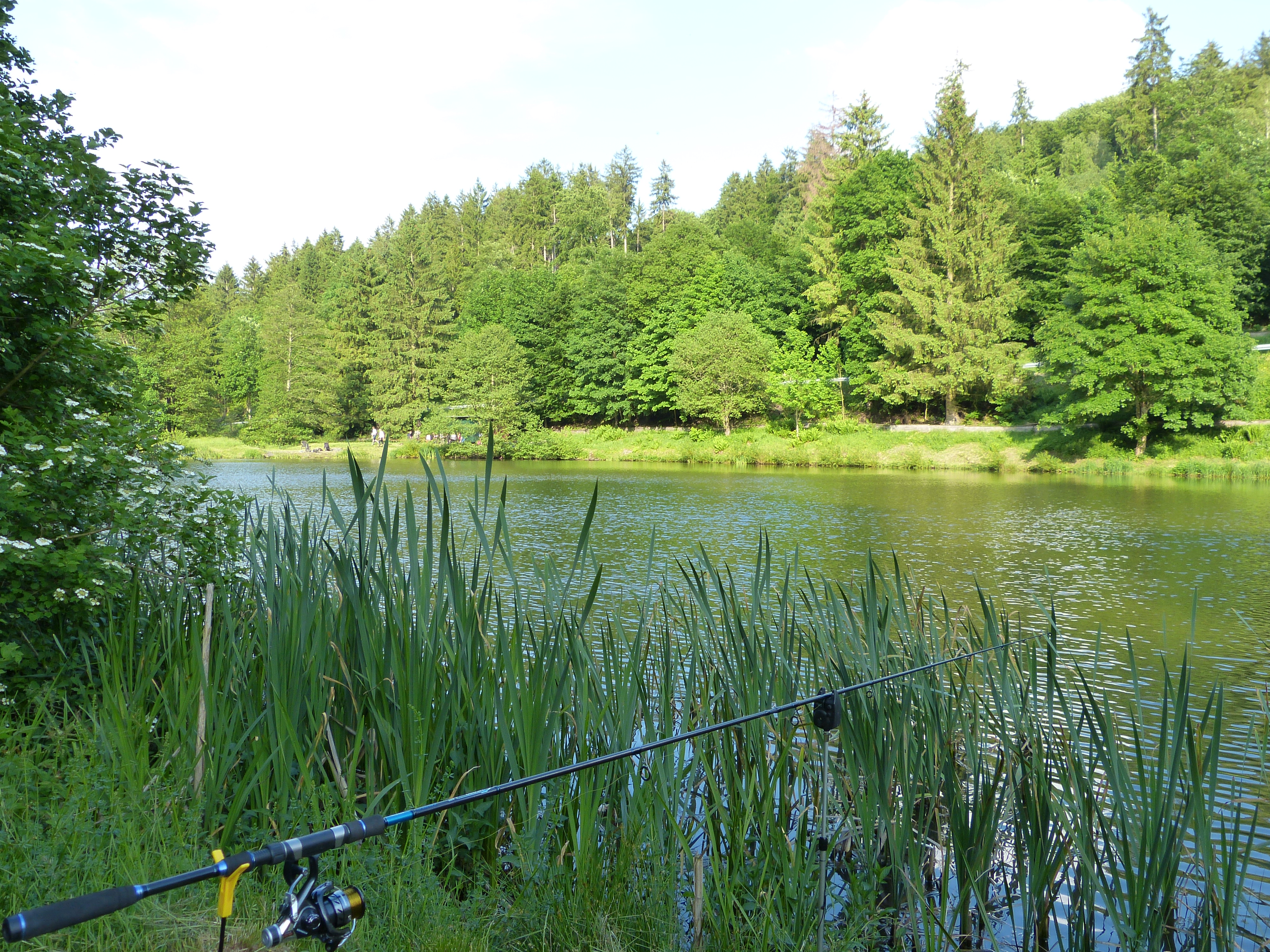 Fichtenweiher – weiteres Bild