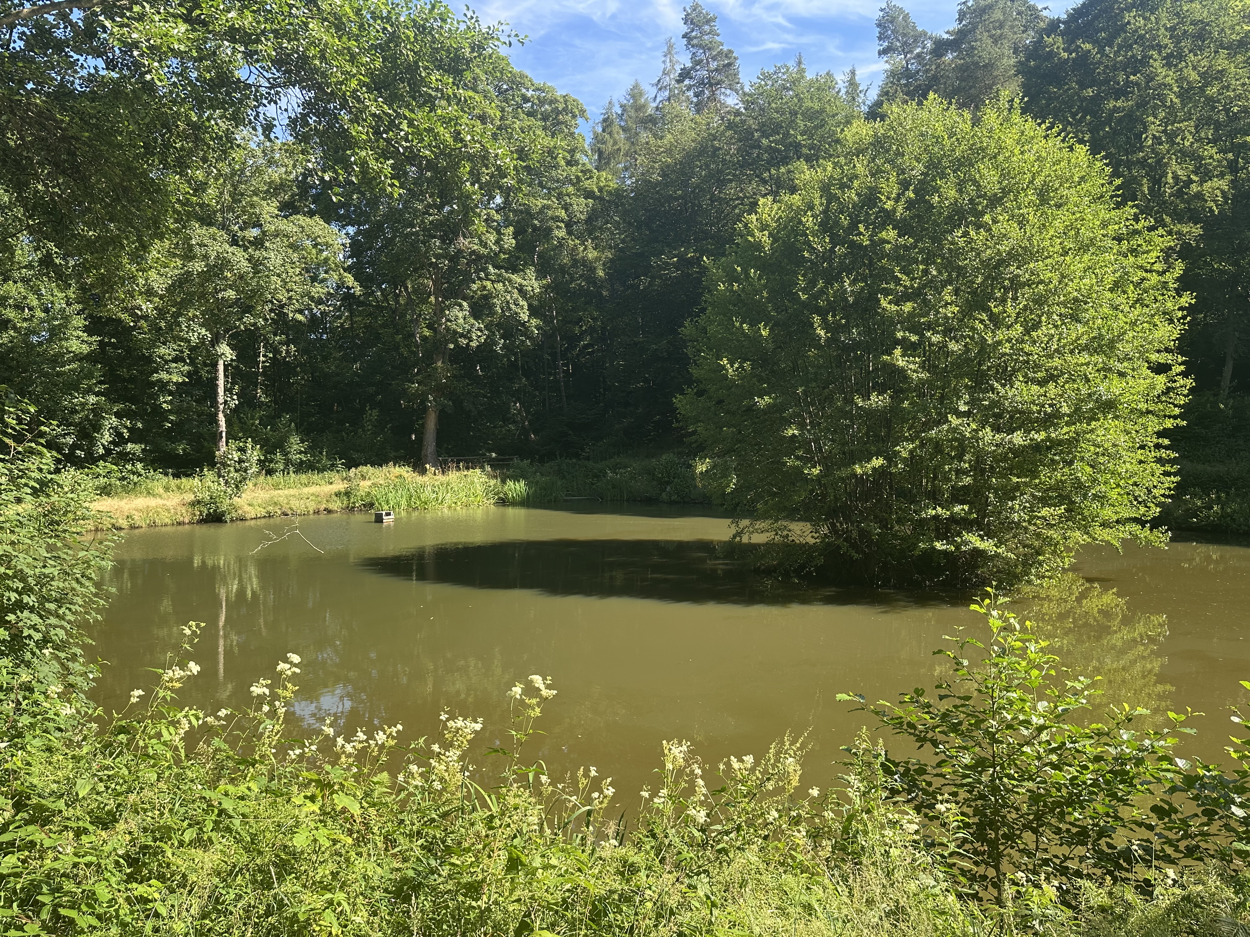 Heckenhainweiher – weiteres Bild