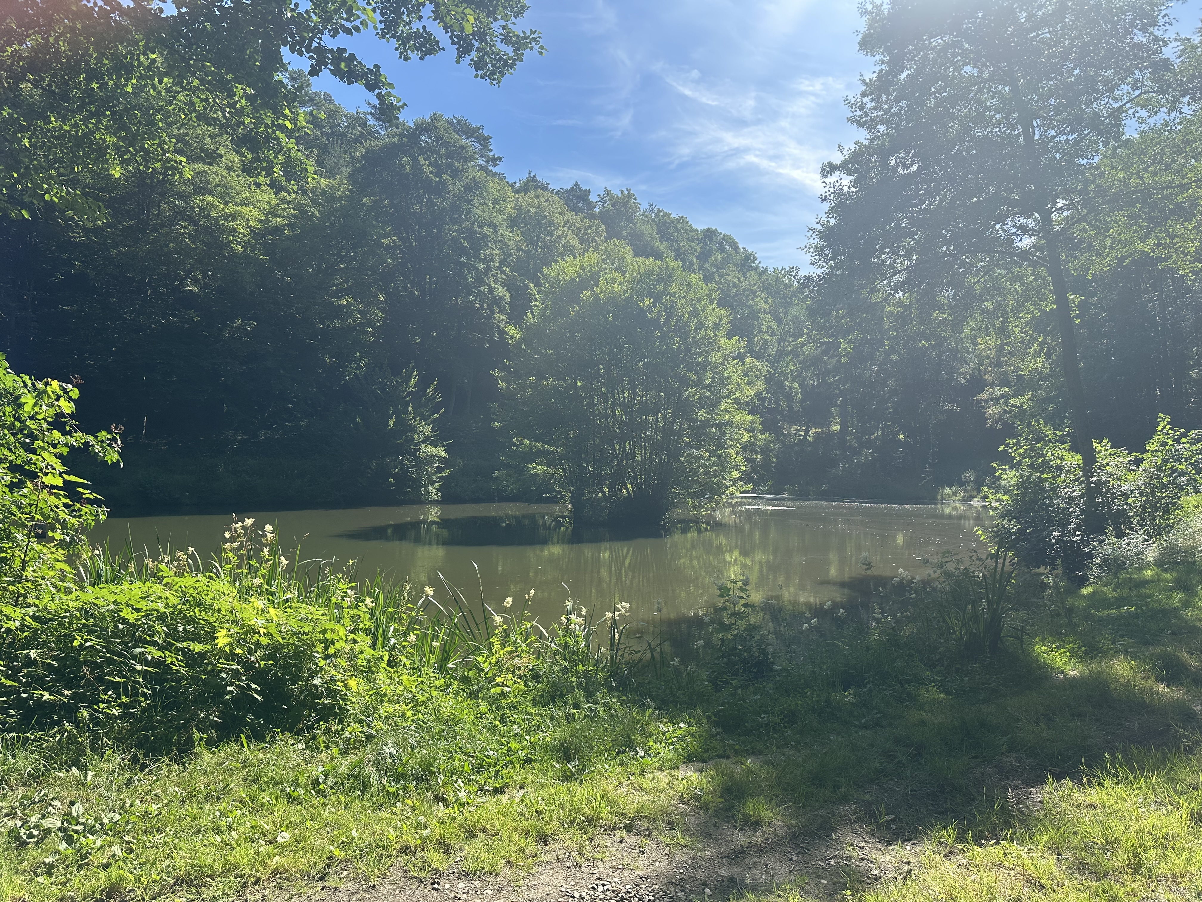 Heckenhainweiher – weiteres Bild