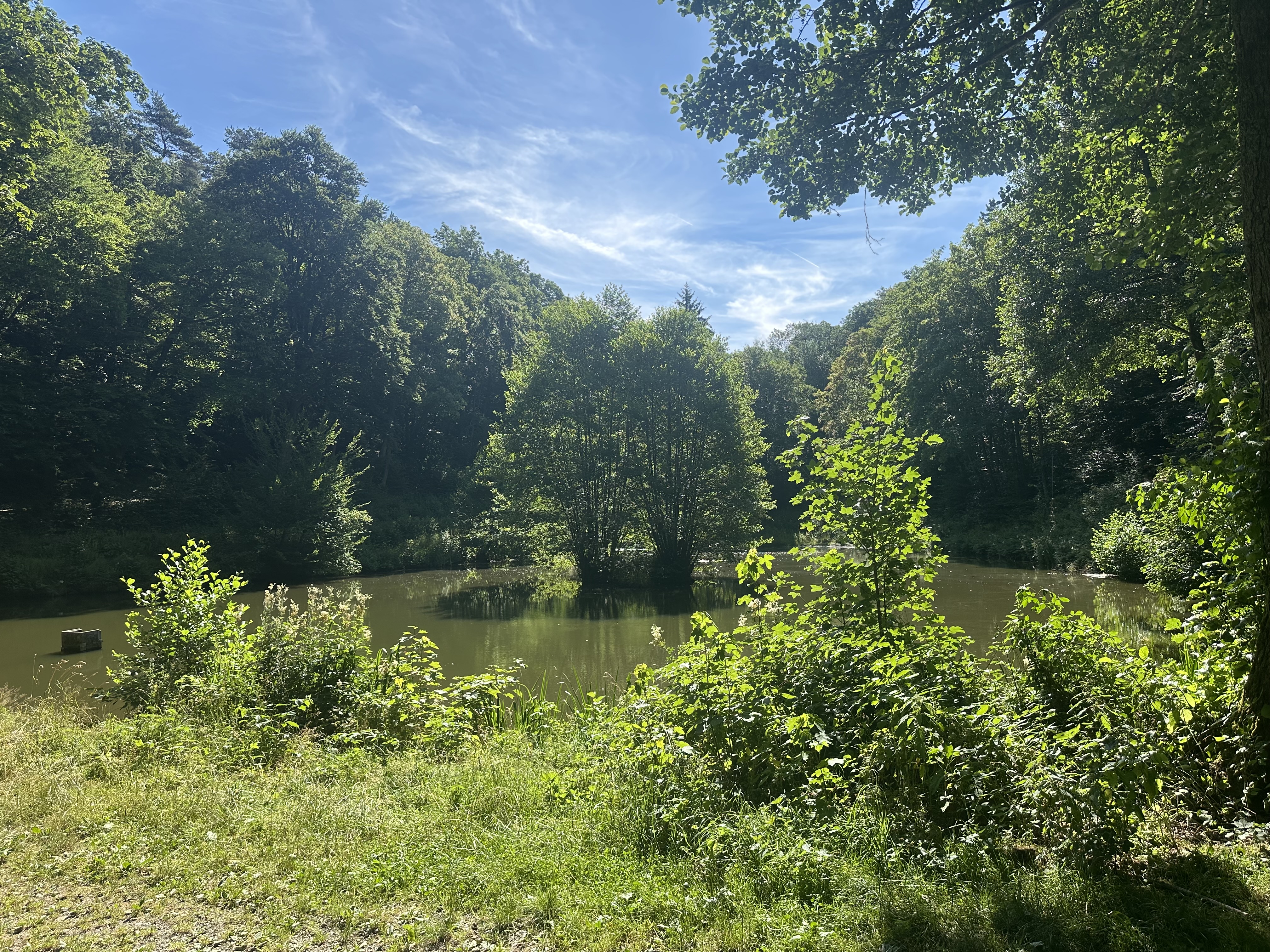 Heckenhainweiher – weiteres Bild
