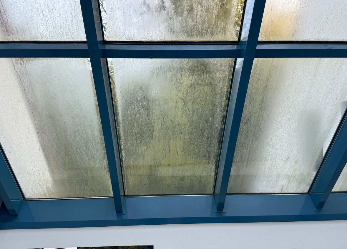 Westkamp     Glas & Gebäudereinigung 