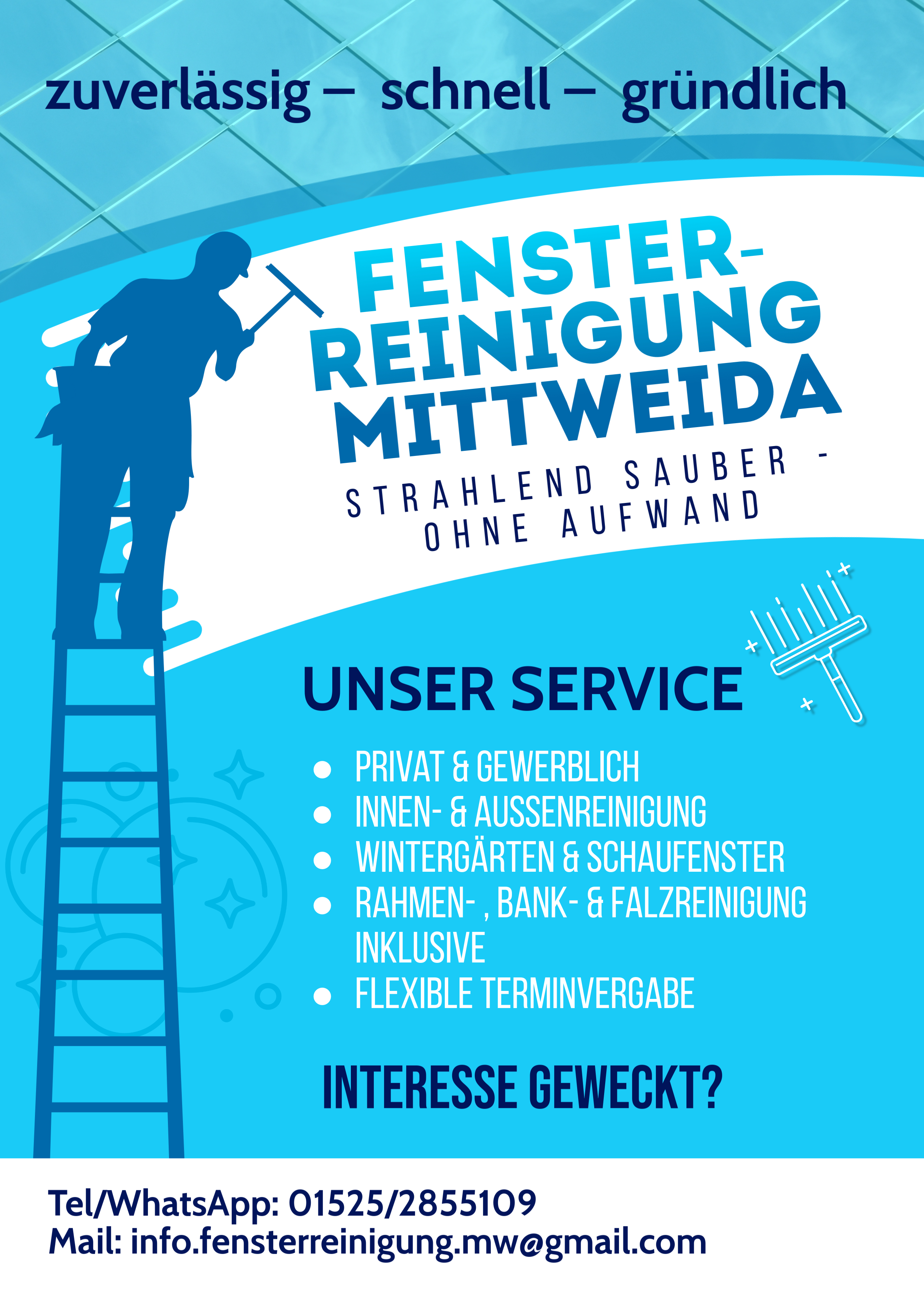 Fensterreinigung Mittweida