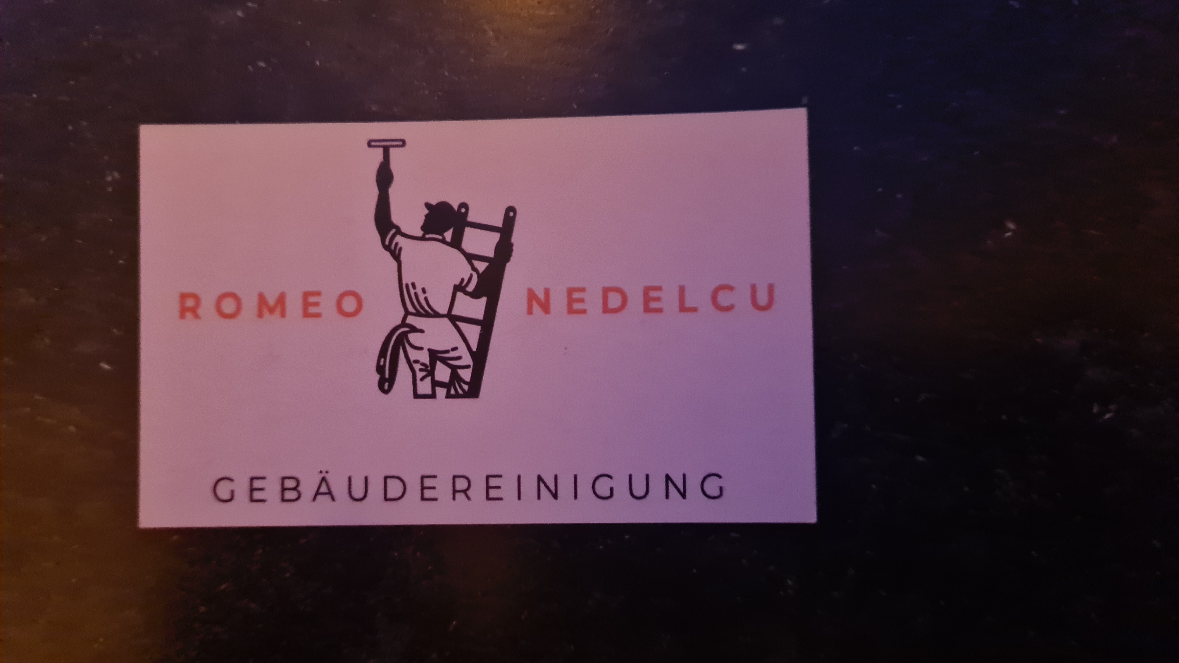 nedelcu romeo