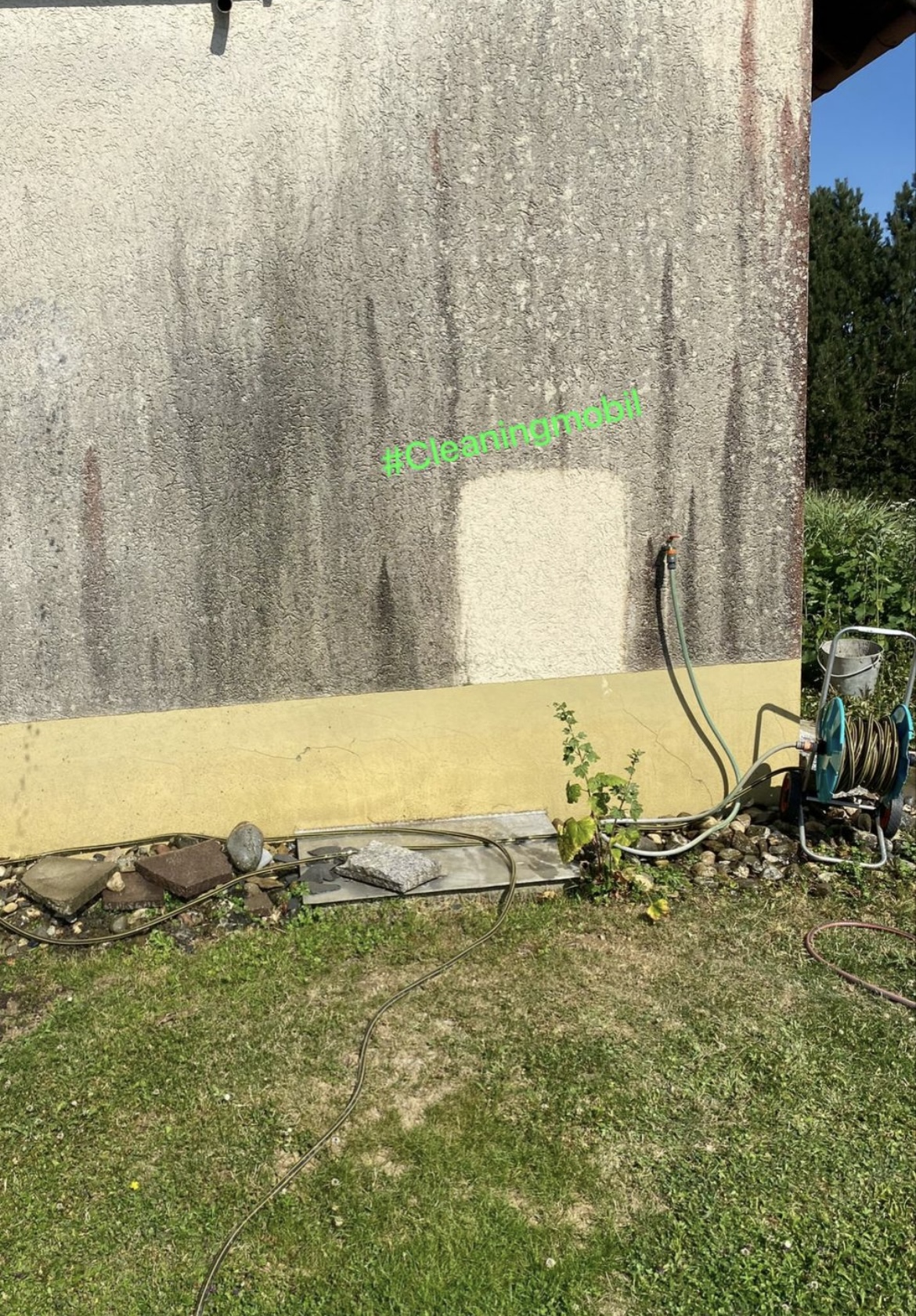 Cleaningmobil-Hauer