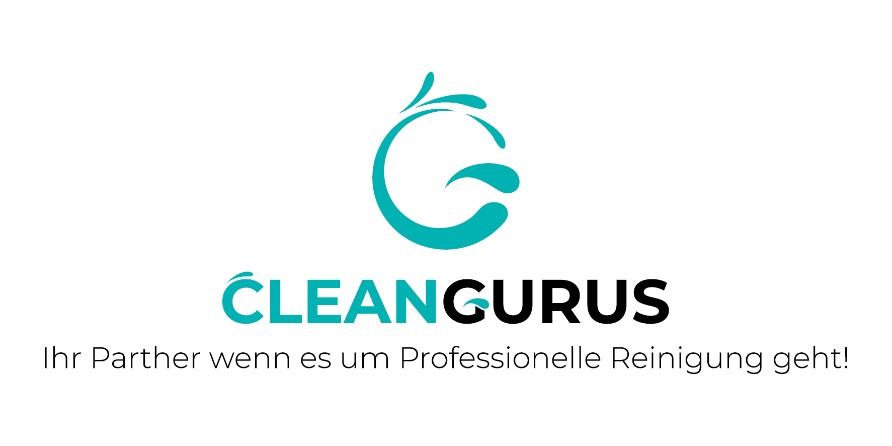 Clean Gurus