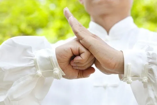 El Saludo en Taiji Quan (Tai Chi Chuan)