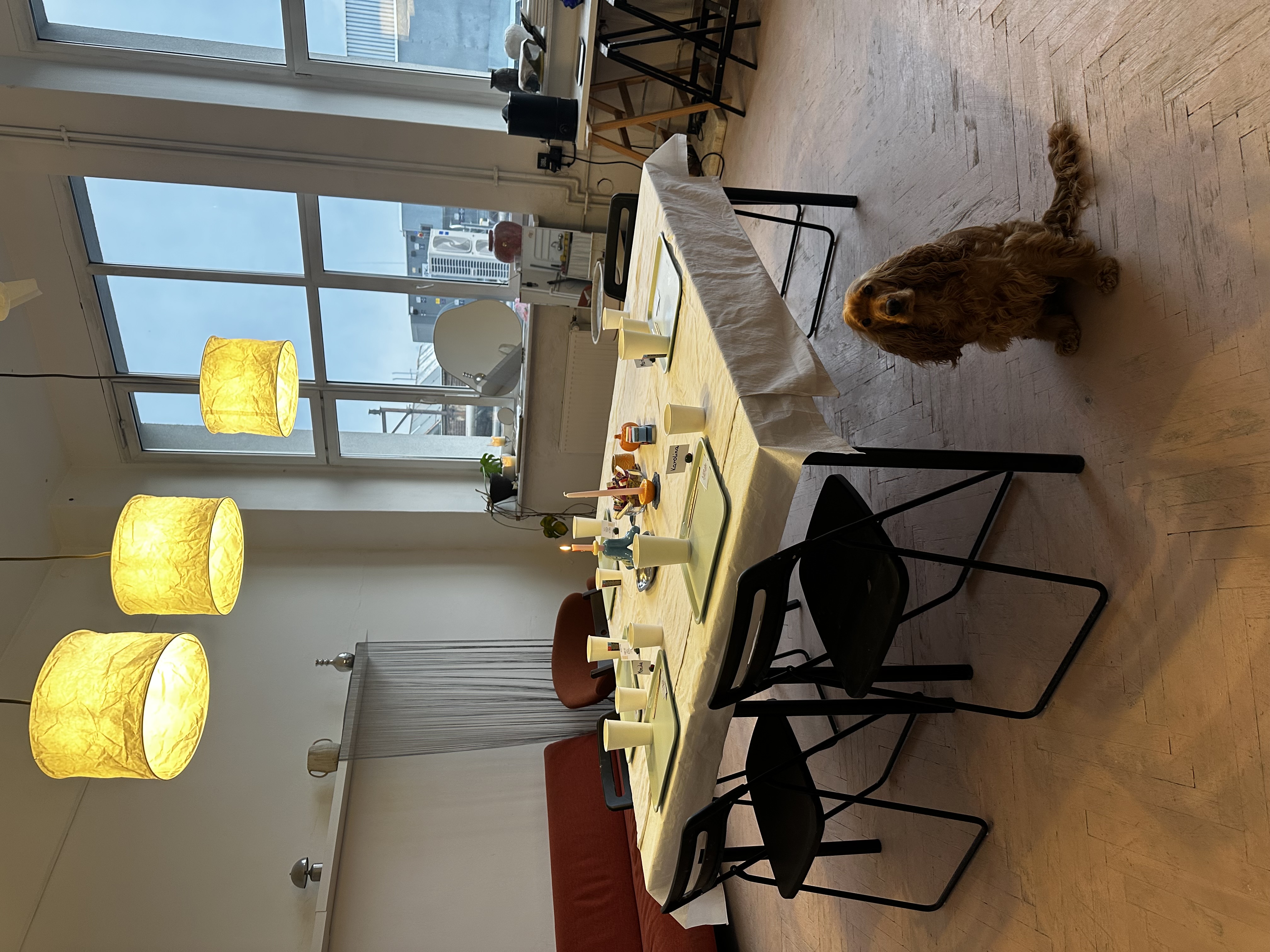IMG_4994.jpeg