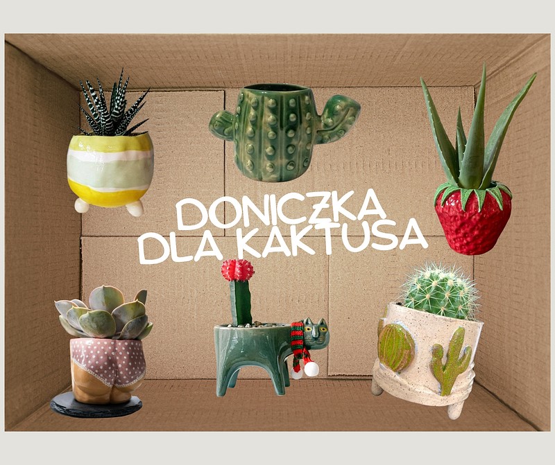don.jpg — Ceramika. Doniczka dla ulubionego kaktusa, Poznań