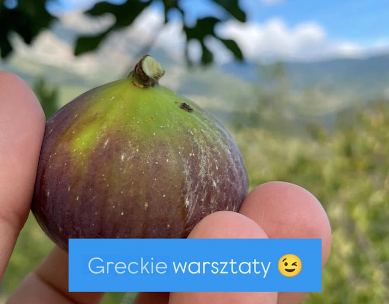 Screenshot 2026-04-16 at 08.09.06.png — Greckie Warsztaty, Poznań