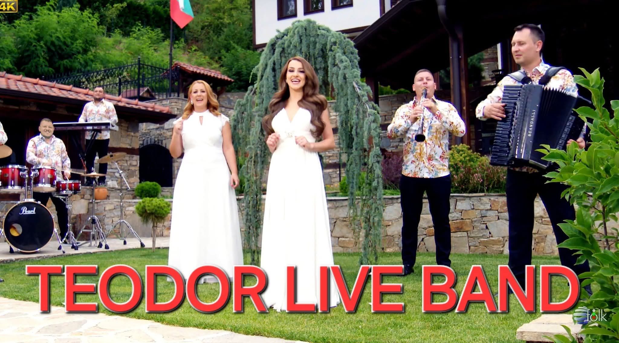 TEODOR LIVE BAND - снимка