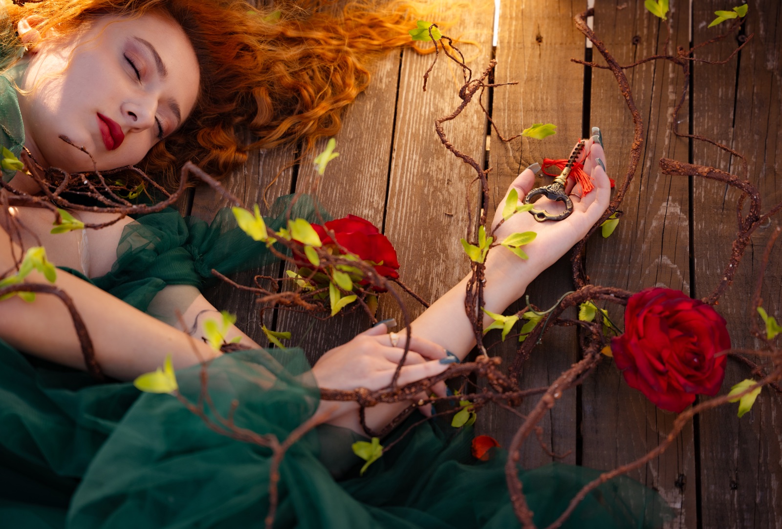 Daniel Peychev Photography - снимка