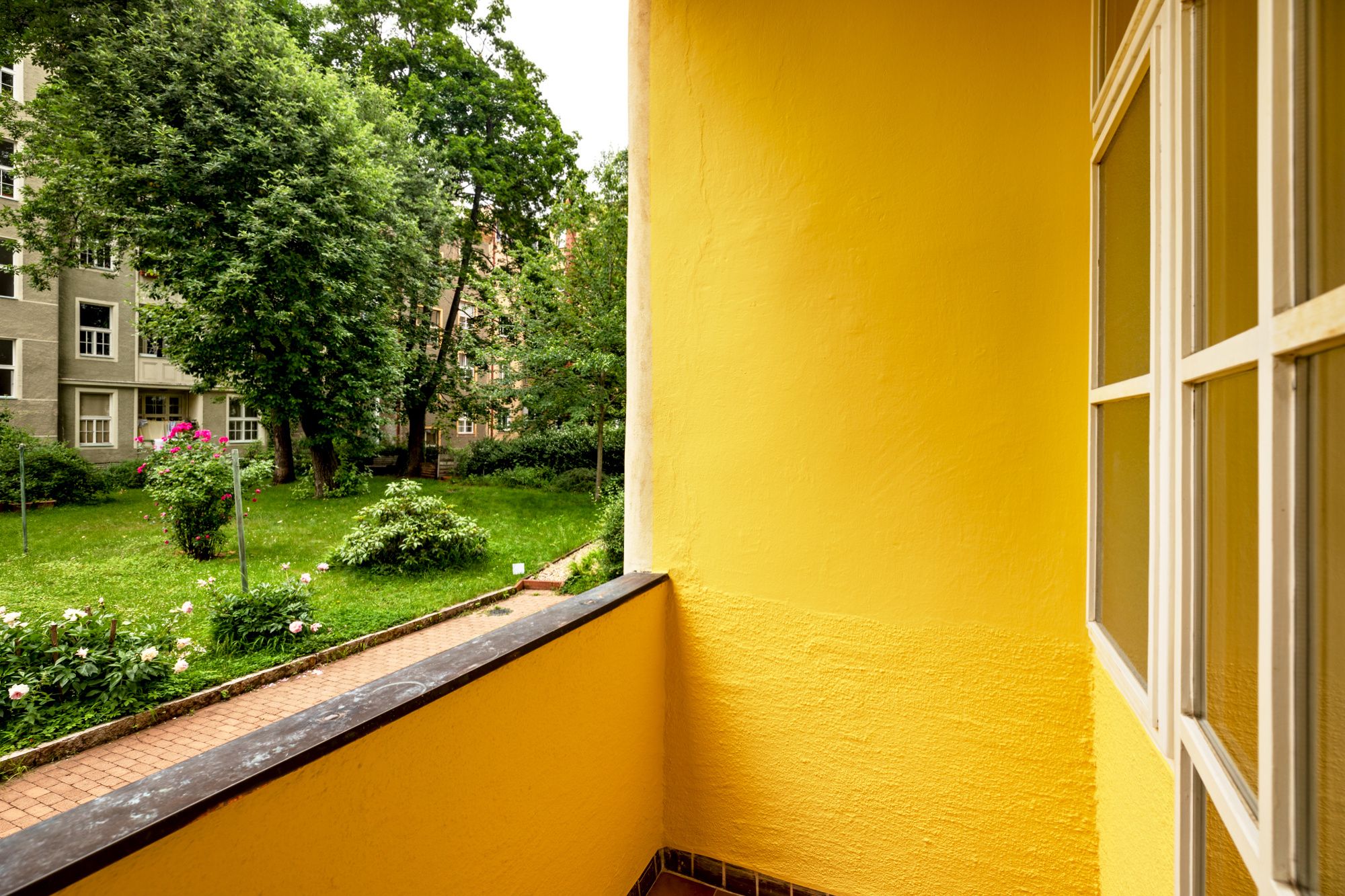 Image 14