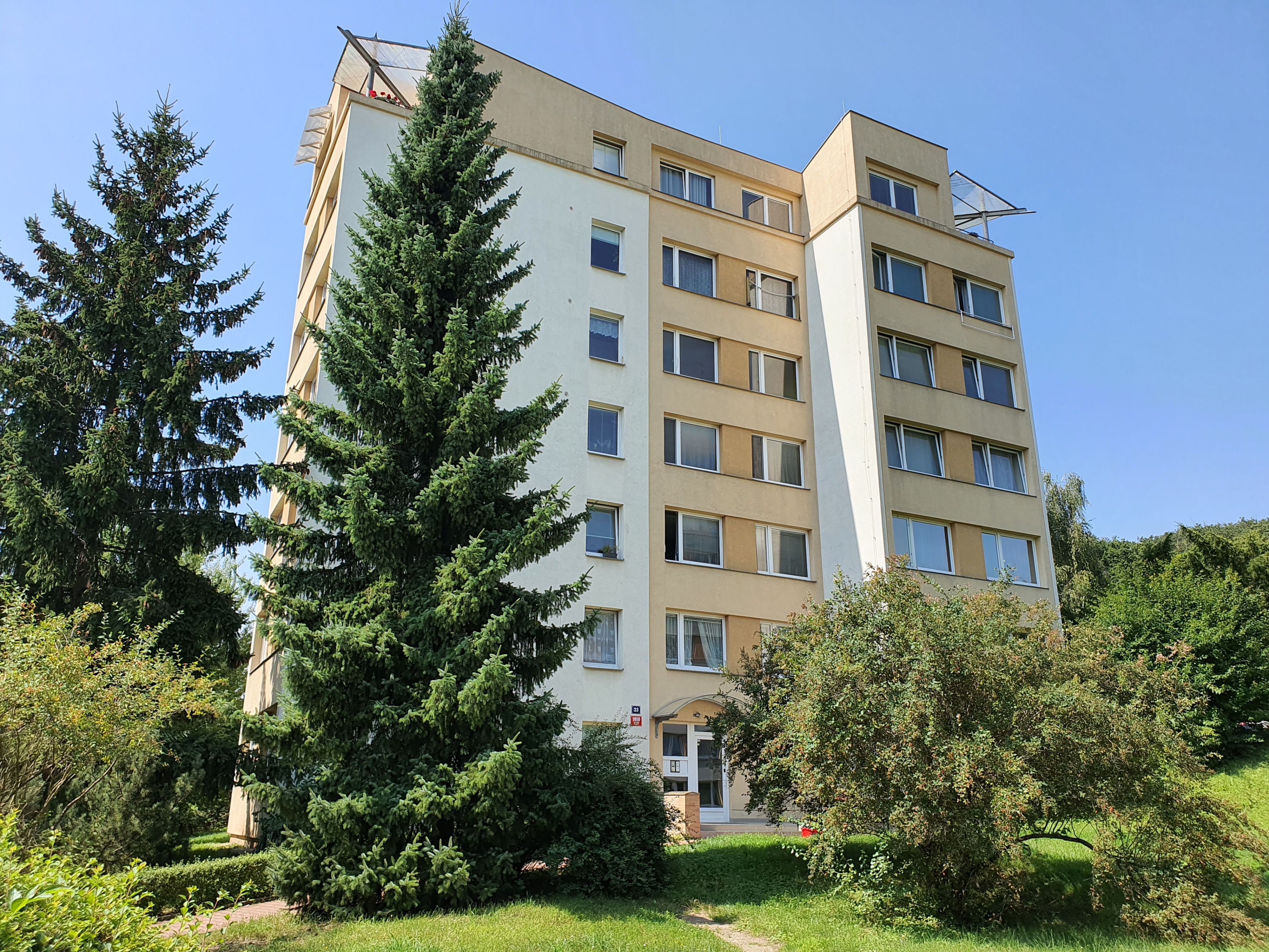 Image 10