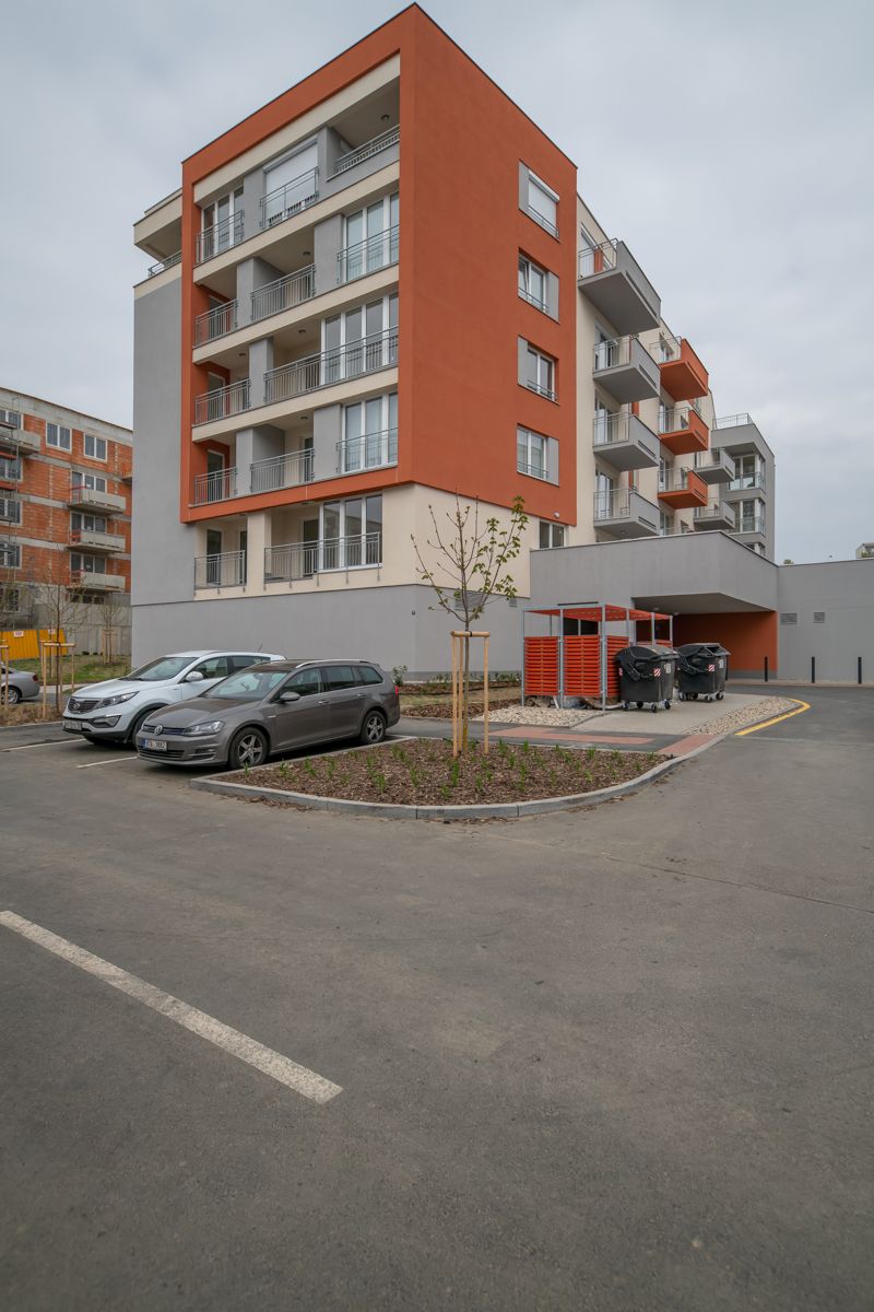 Image 19
