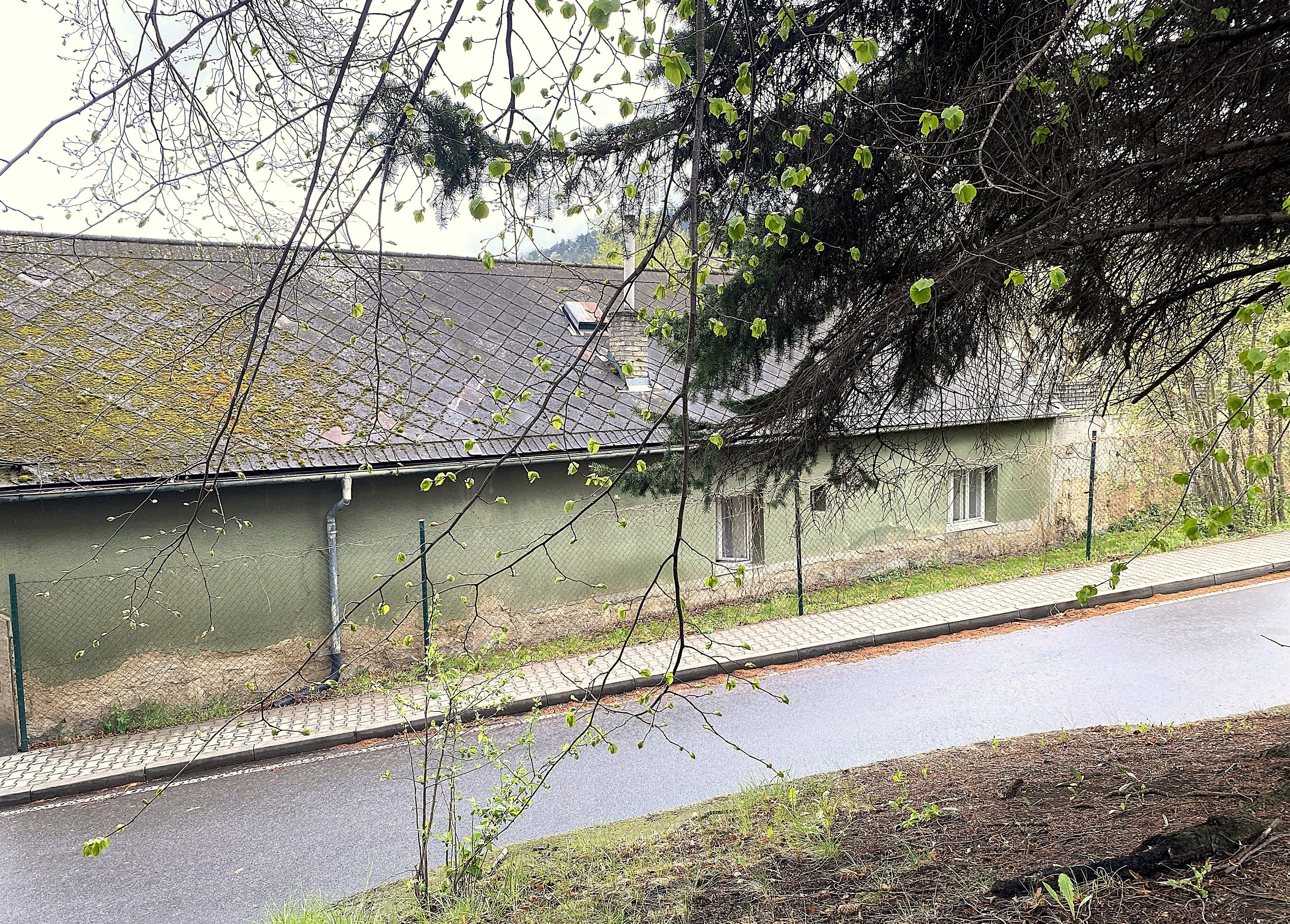 Image 15