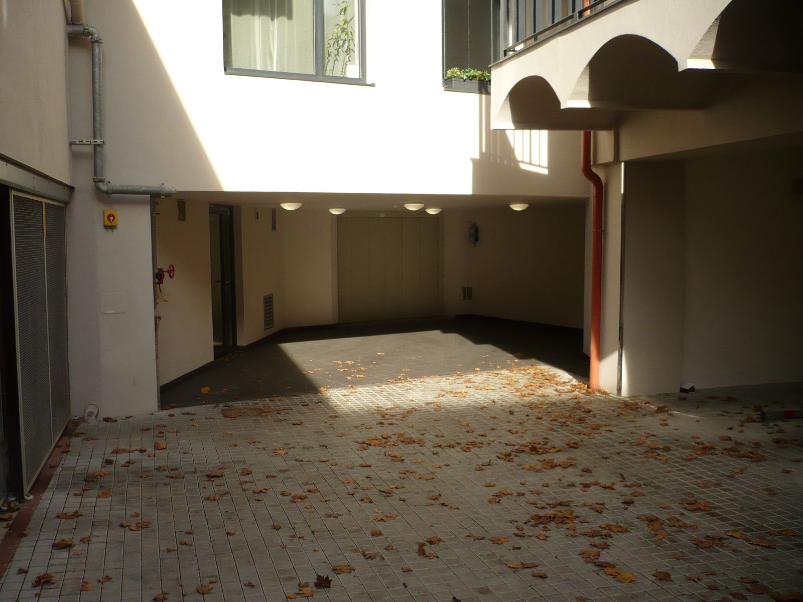 Image 6