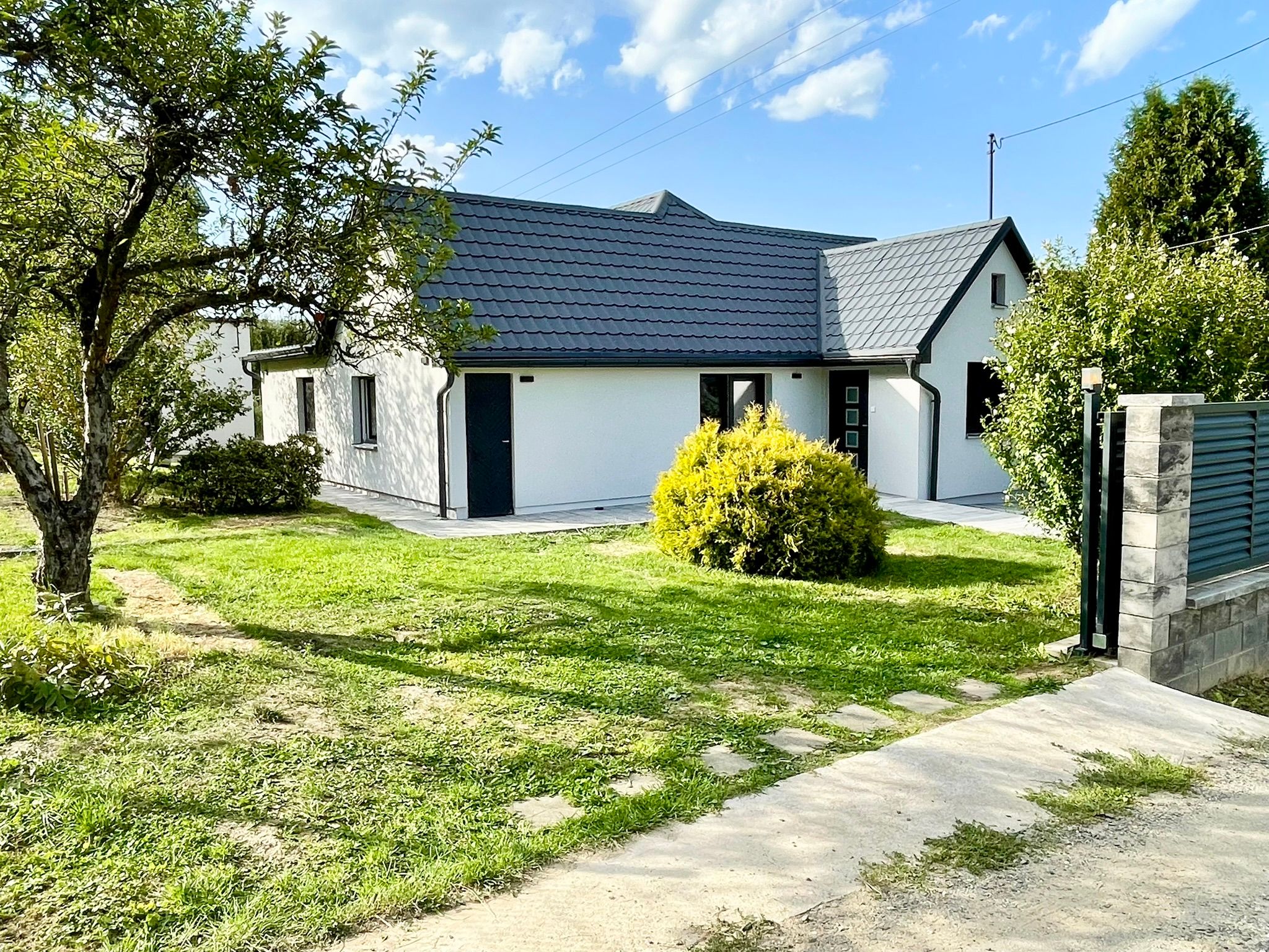 Image 13