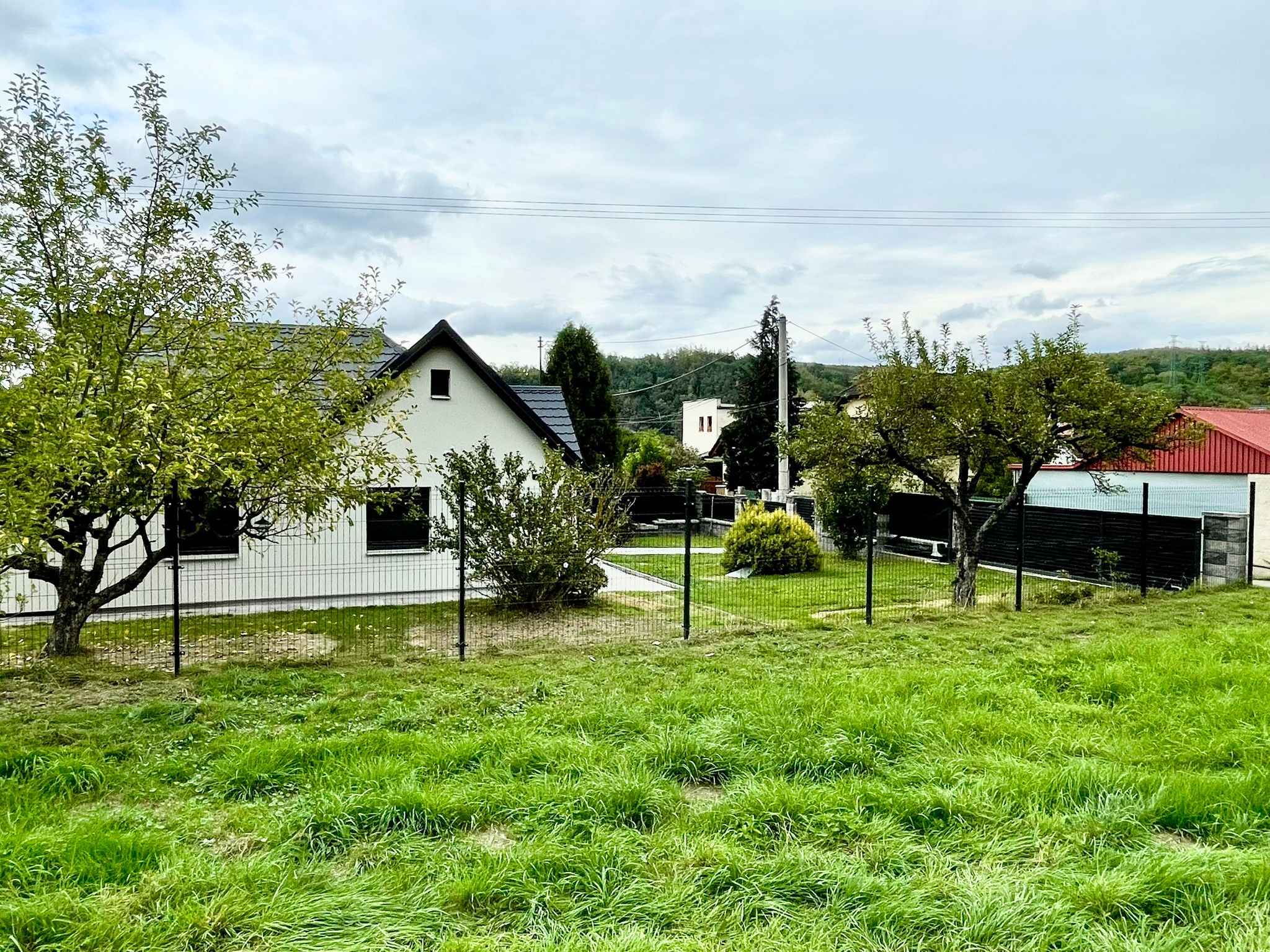 Image 15
