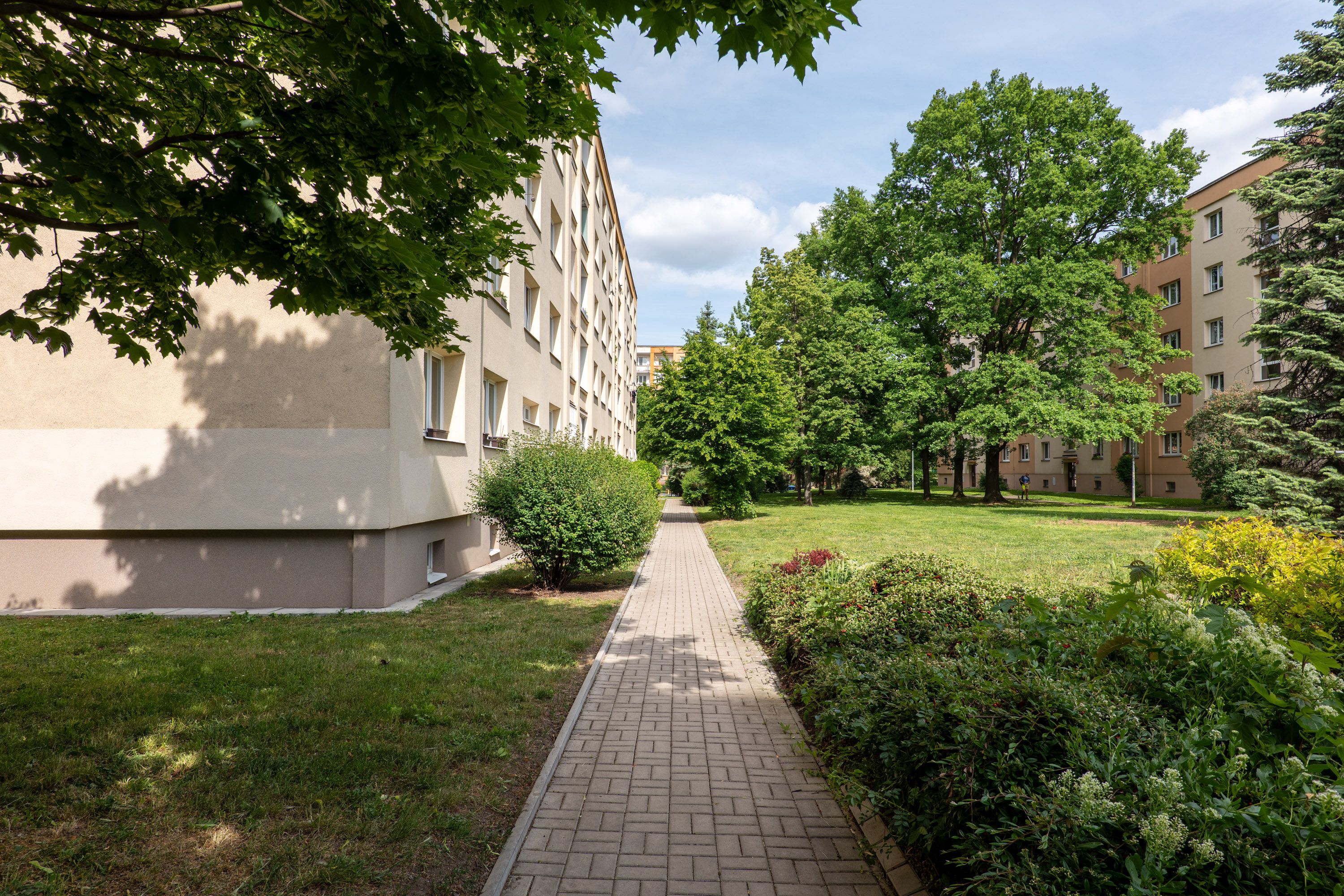 Image 19
