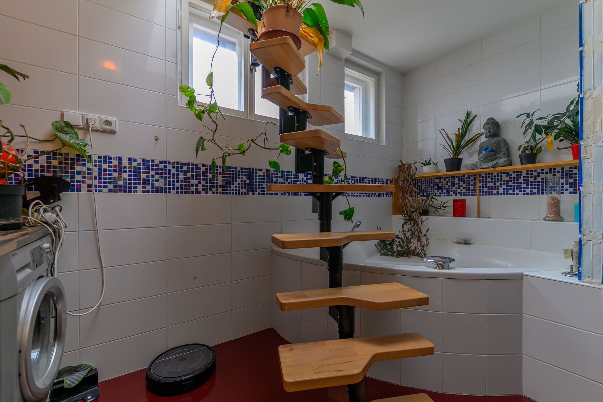 Image 6