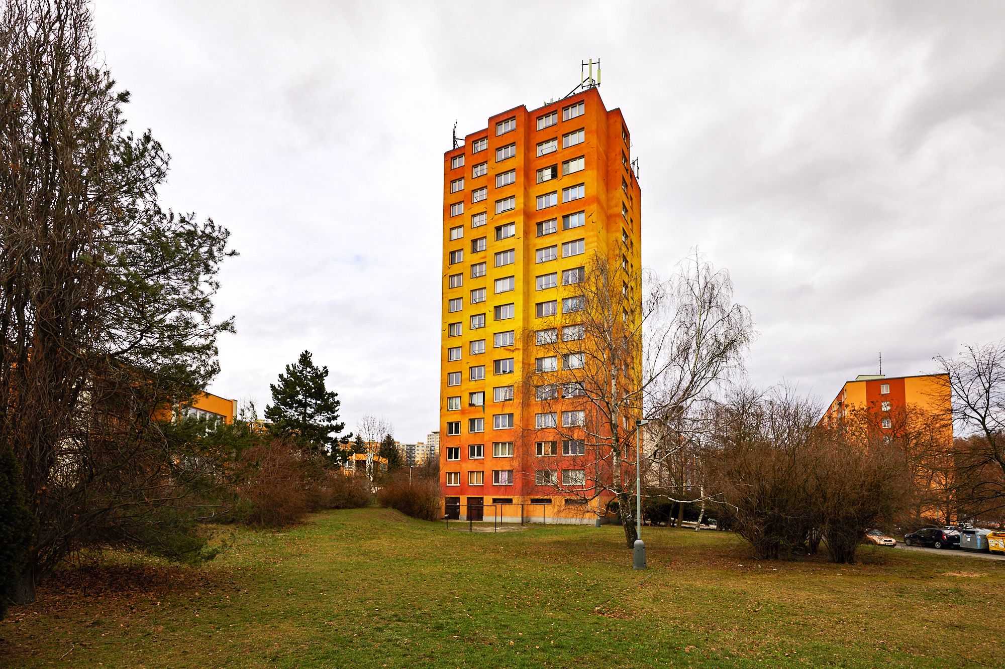 Image 11