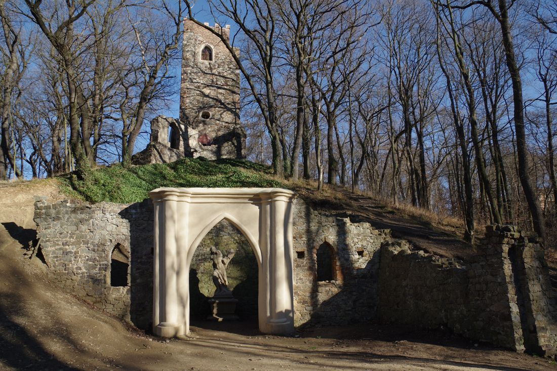 Image 7