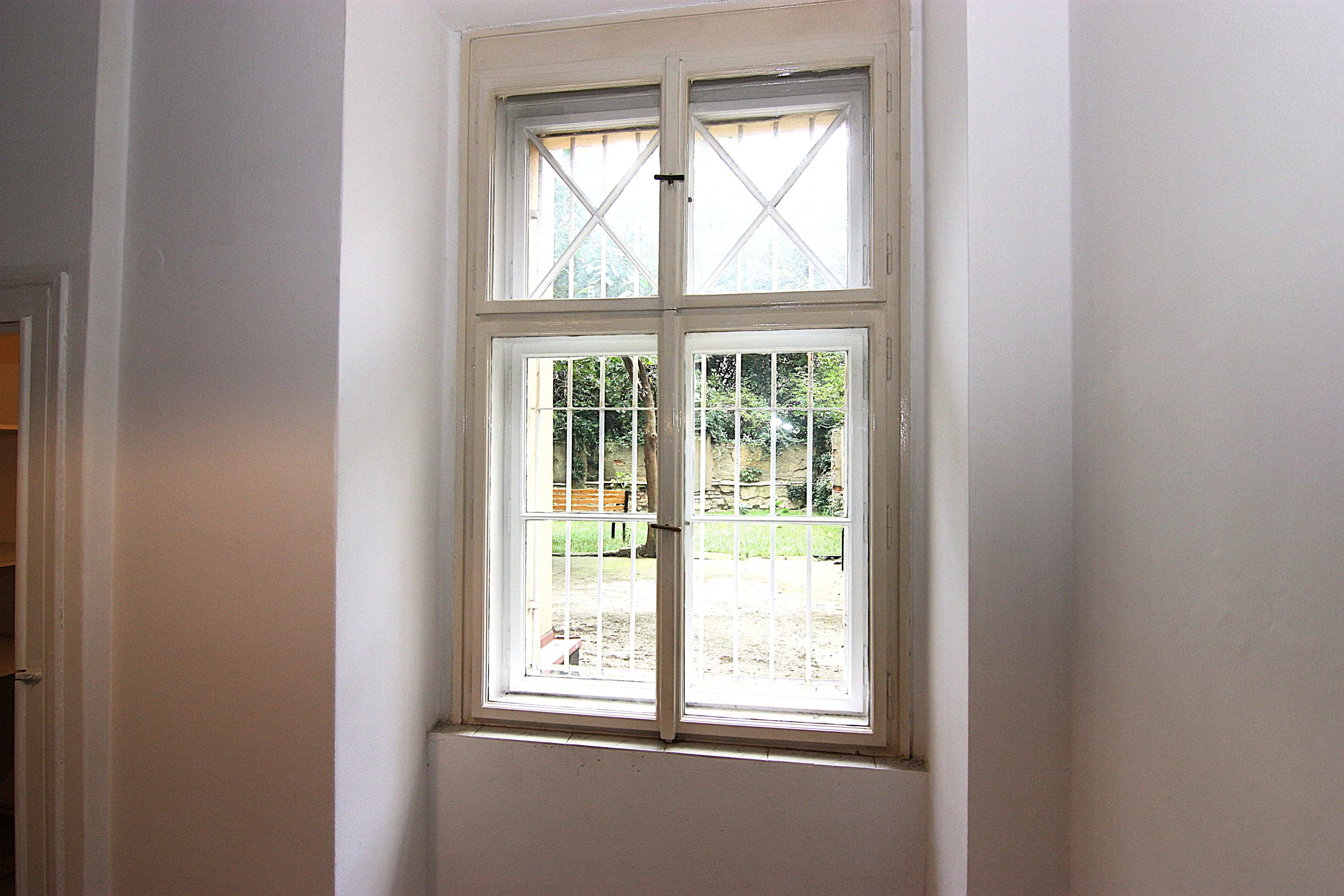 Image 15