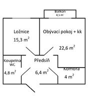 Floor plan 1
