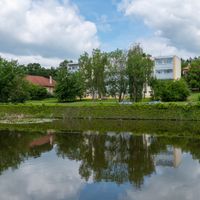 Image 15