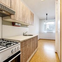 byt 3+1 79 m²