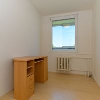 Image 13