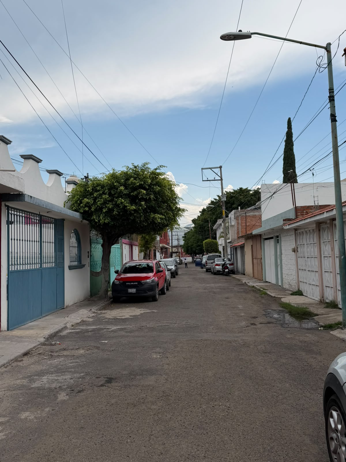 LAS PALMAS miniatura 4