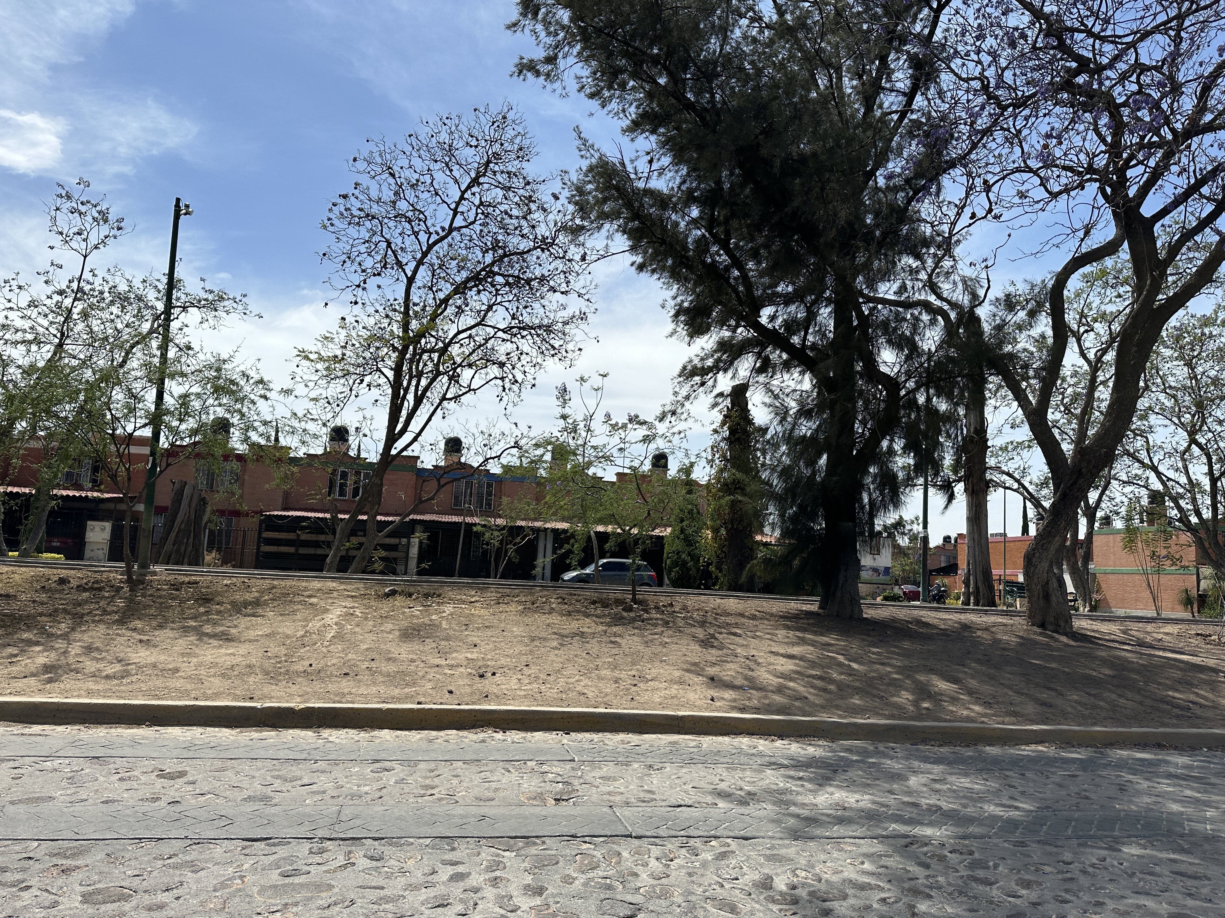 ARBOLEDAS DE CD BAJIO miniatura 4