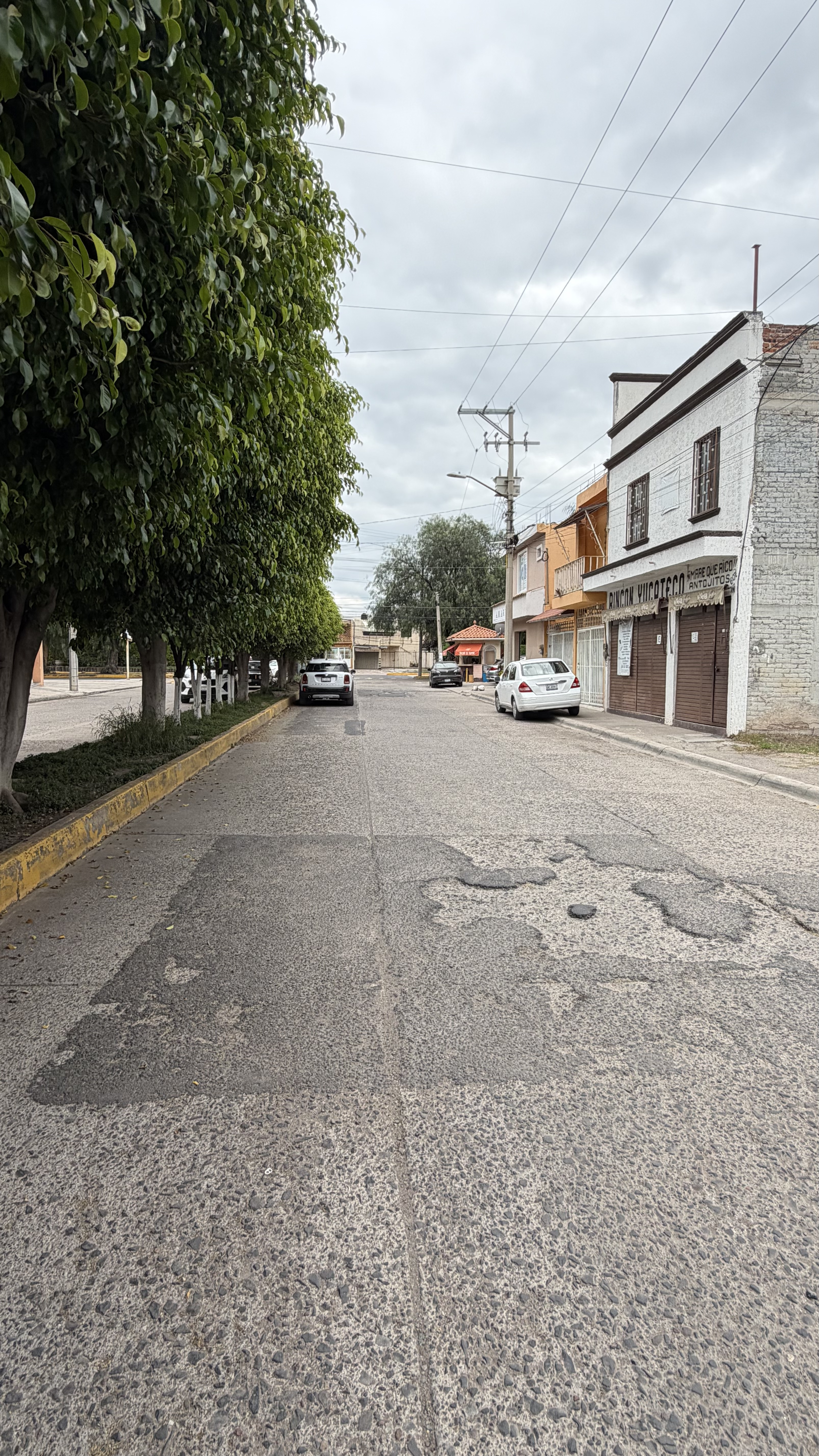 EL CORTIJO foto 3