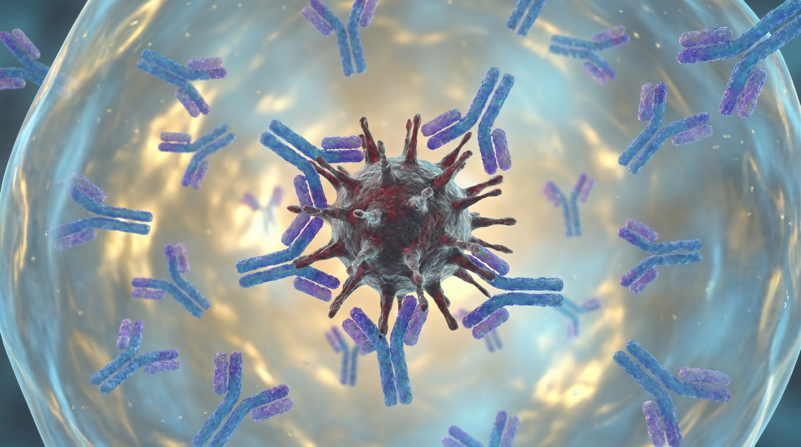 The Body's Precision Defense System: How Antibodies Find Their Targets — scene 4