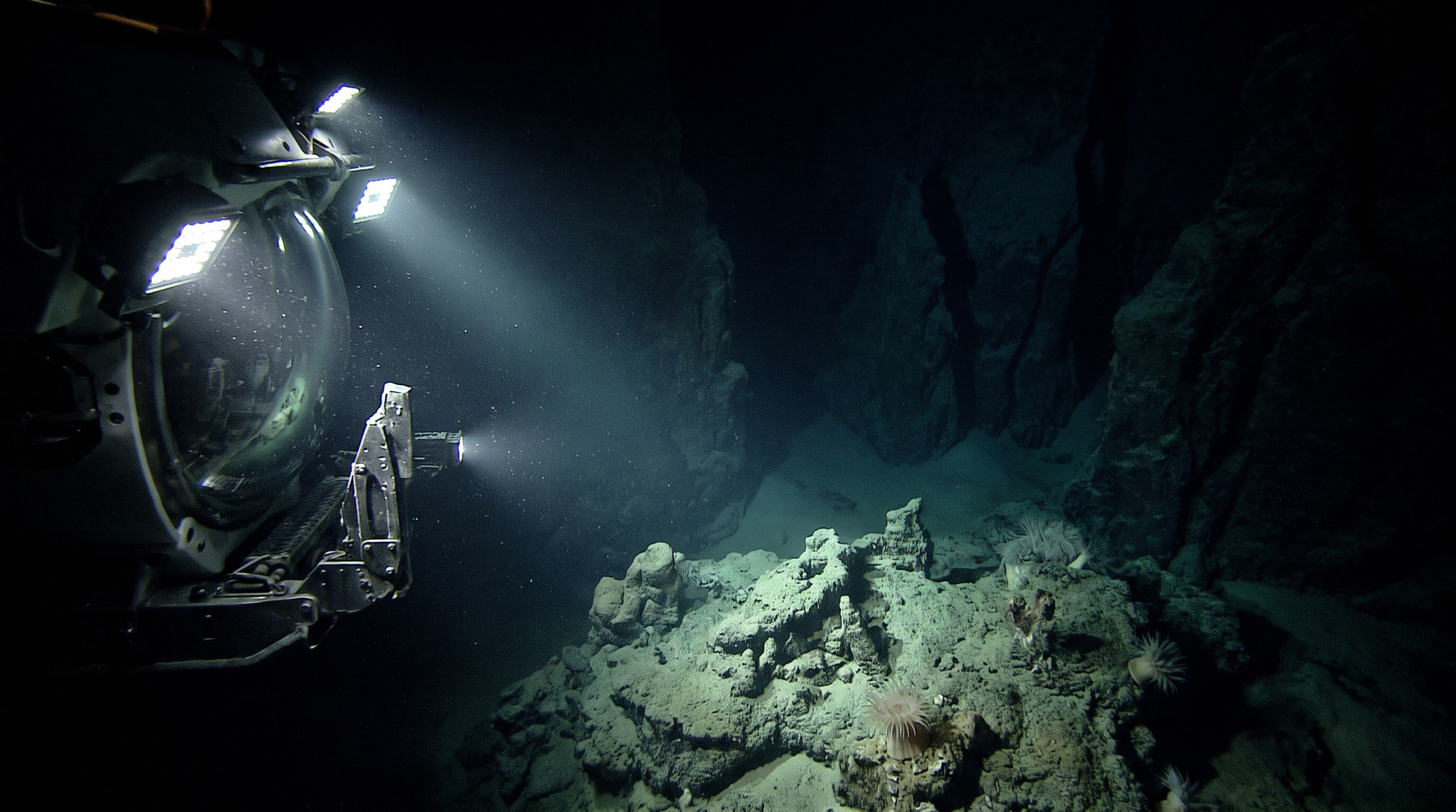 Secrets of the Midnight Zone: Life in the Deep Sea — scene 7