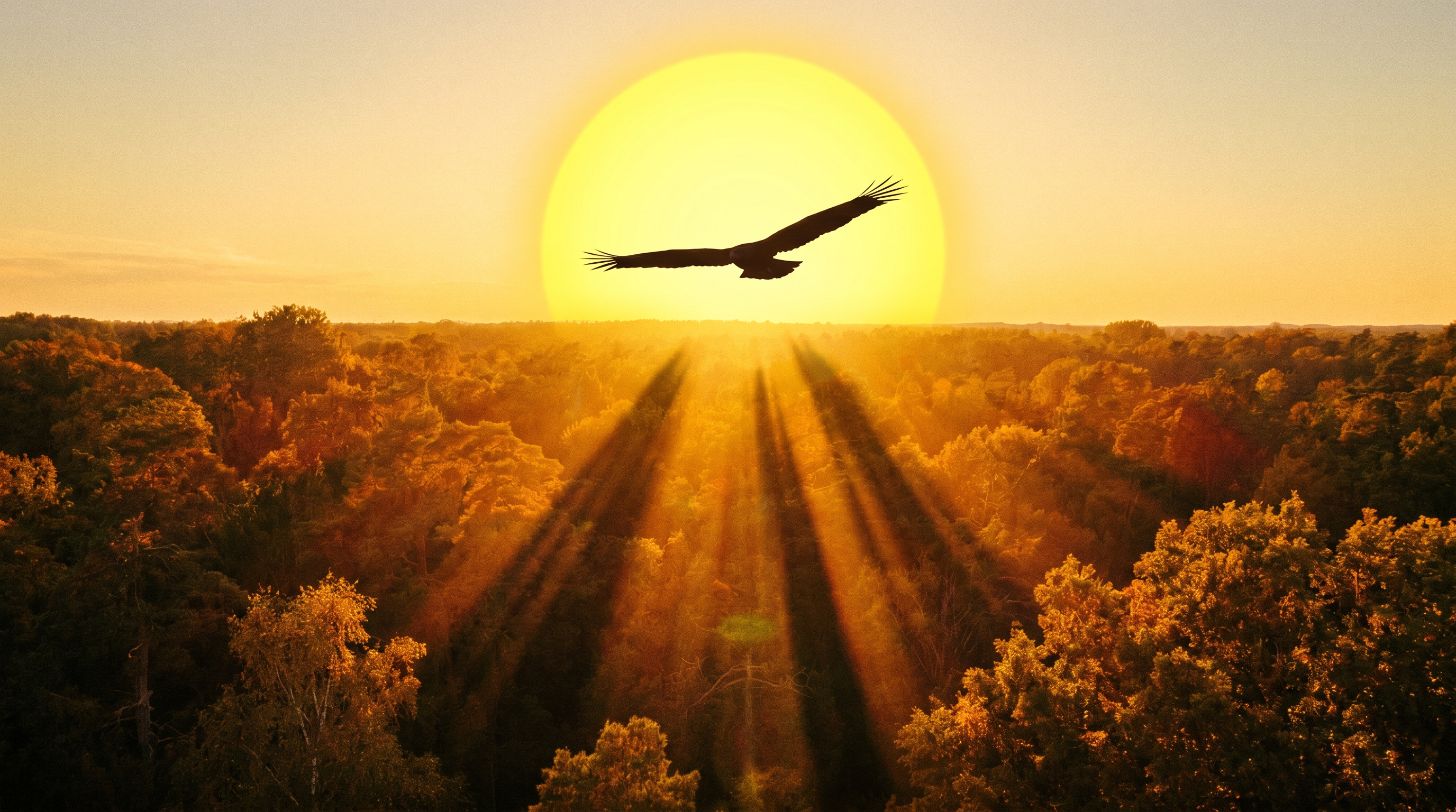 The Incredible Journey: How Birds Navigate the Globe — scene 2